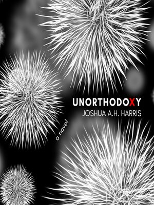 cover image of Unorthodoxy